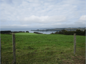 Screen Shot 2015-04-19 at 12.12.13 PM