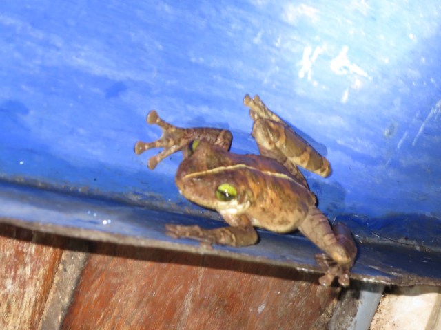 Leopold in the shower