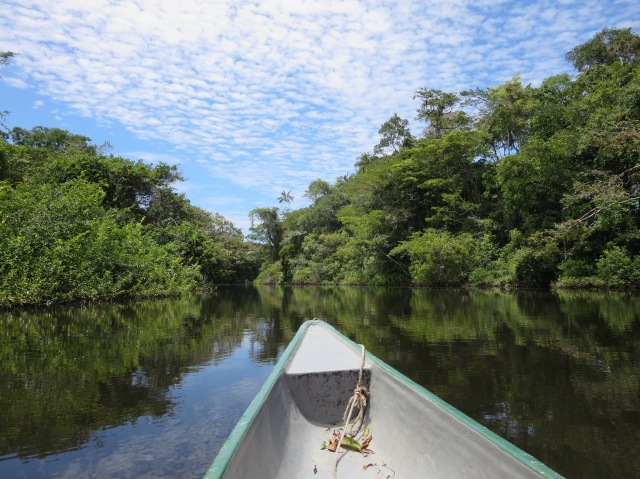 Cruising down the Rio Cuyabeno