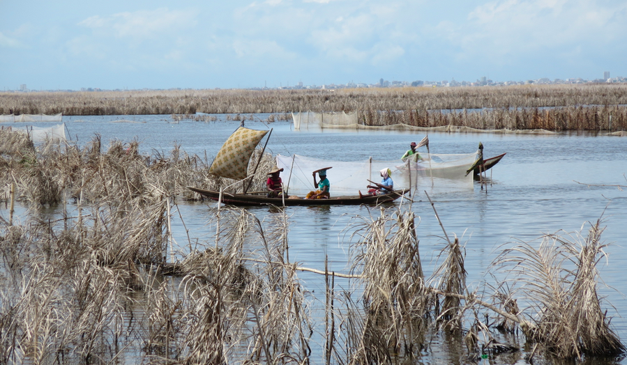 Screen Shot 2016-06-09 at 5.31.03 PM