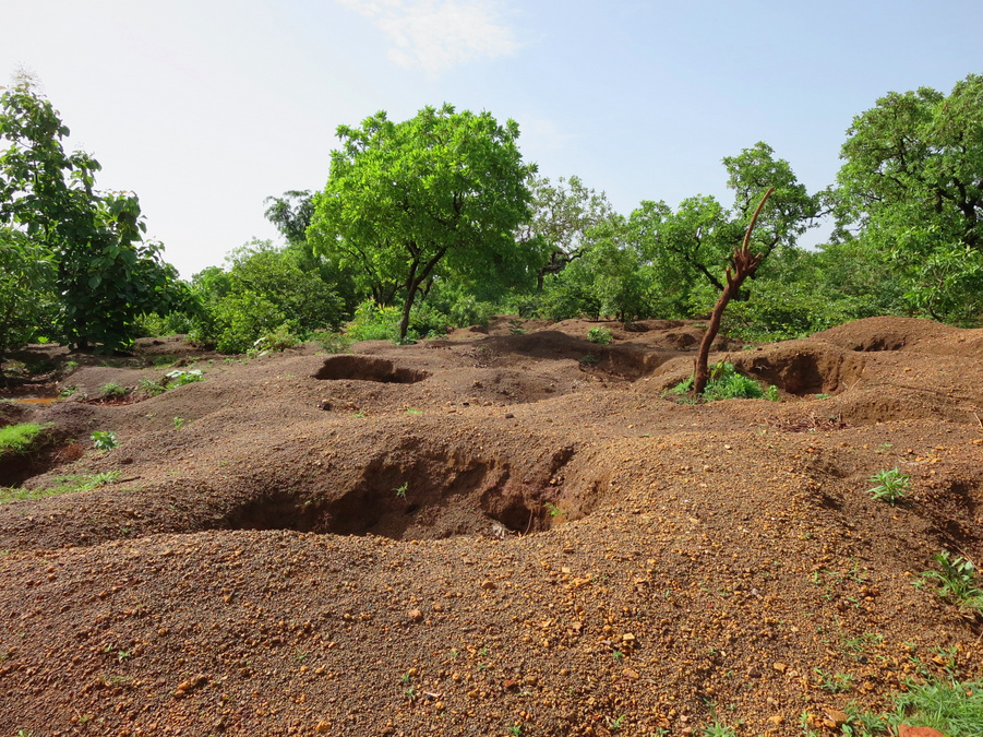 Screen Shot 2016-06-09 at 7.25.21 PM