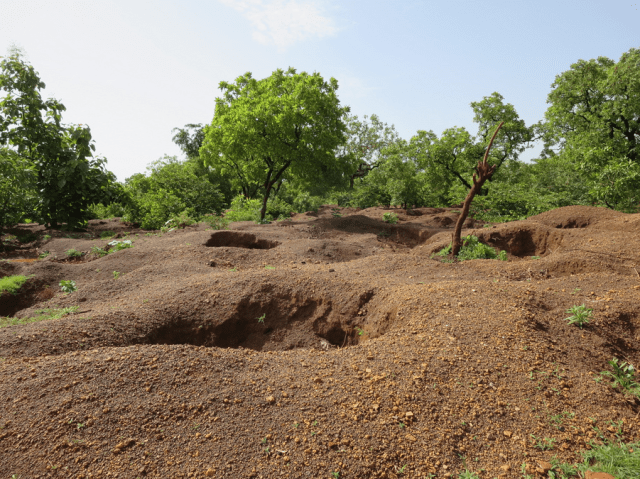 Screen Shot 2016-06-09 at 7.25.21 PM