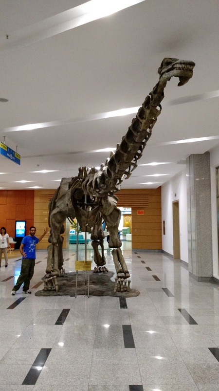 048-IMG_20160628_161810696