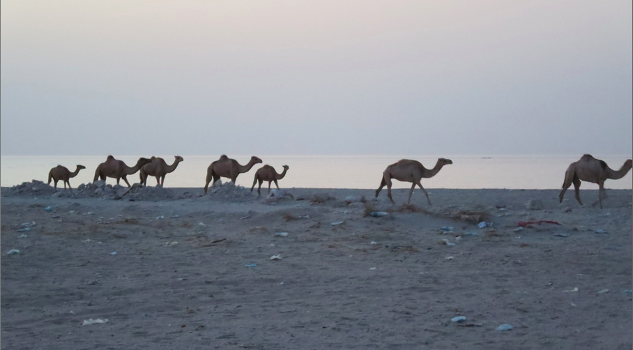 Screen Shot 2017-09-14 at 21.47.29