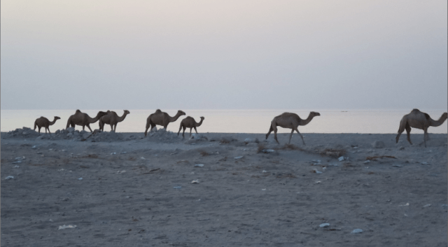 Screen Shot 2017-09-14 at 21.47.29